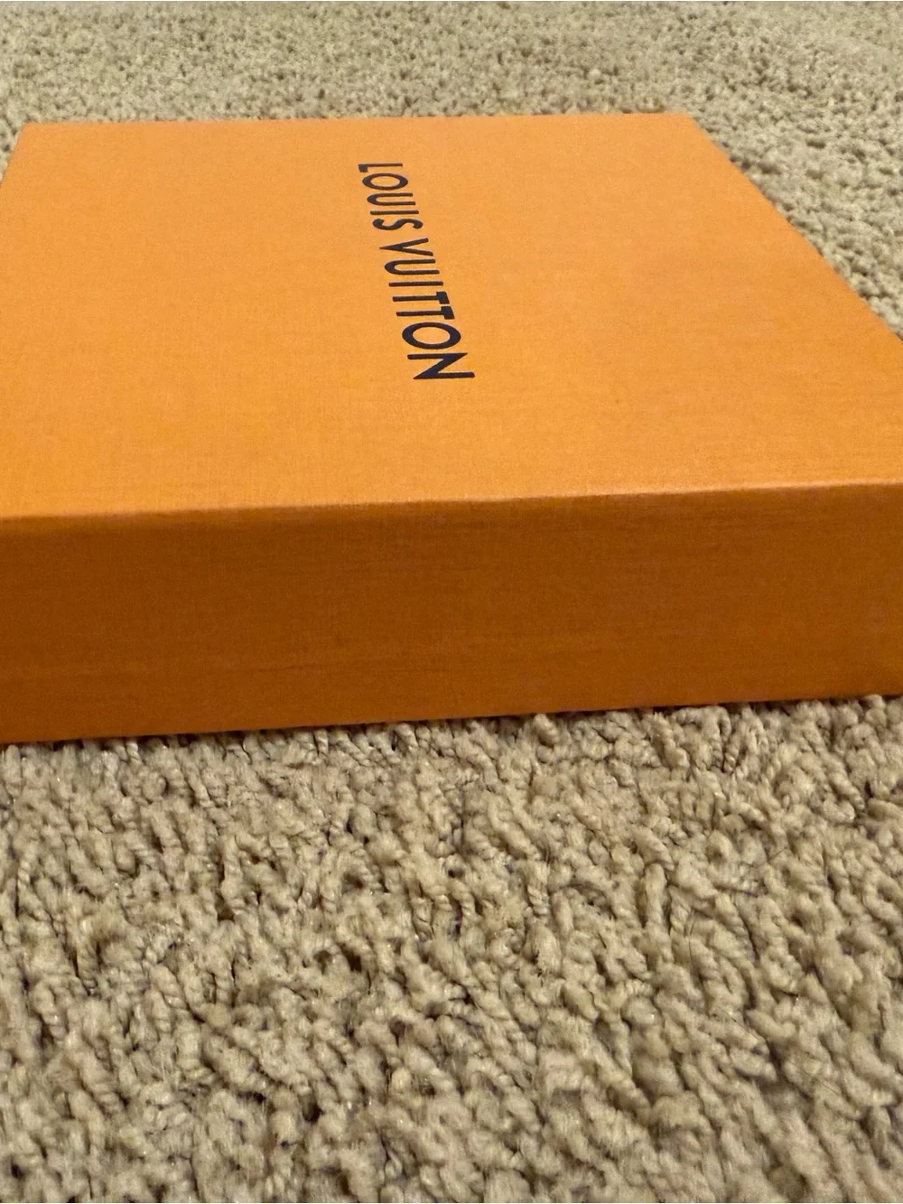 Louis Vuitton authentic louis